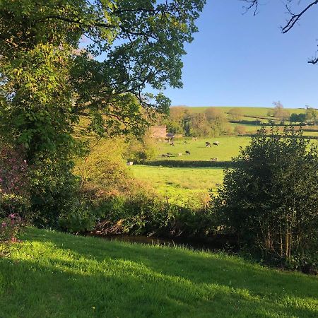 Bow Mill Farm Bed and Breakfast Totnes Buitenkant foto