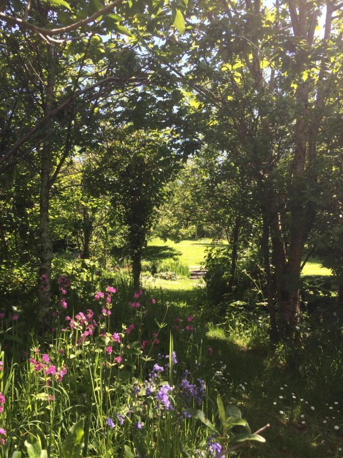 Bow Mill Farm Bed and Breakfast Totnes Buitenkant foto