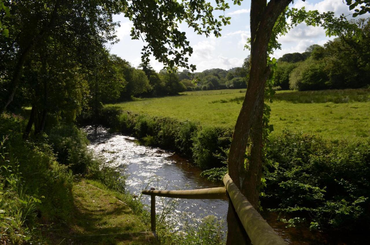 Bow Mill Farm Bed and Breakfast Totnes Buitenkant foto