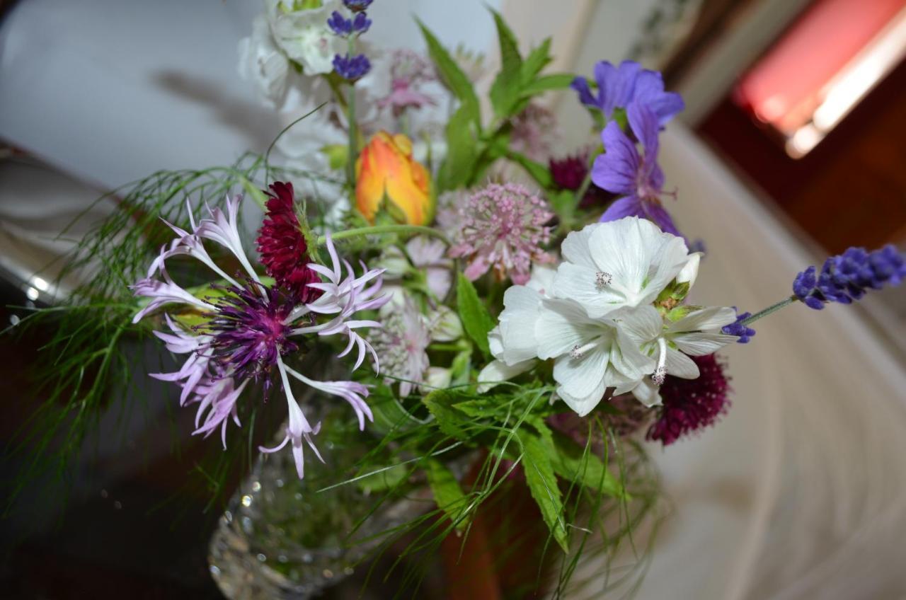 Bow Mill Farm Bed and Breakfast Totnes Buitenkant foto