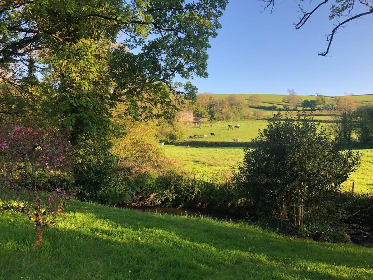 Bow Mill Farm Bed and Breakfast Totnes Buitenkant foto